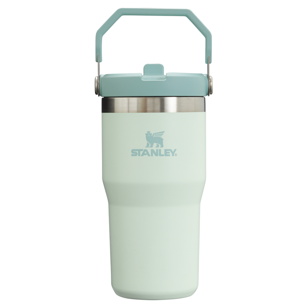 Stanley The IceFlow FlipStraw Tumbler Water Bottle 20 OZ In Mist Green