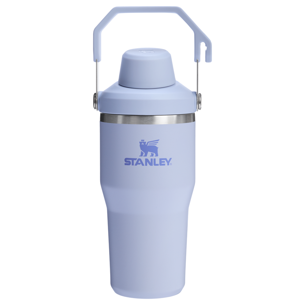 Stanley 20 OZ IceFlow Stainless Steel Water Bottle In Dew Drop Purple n with Fast Flow Lid