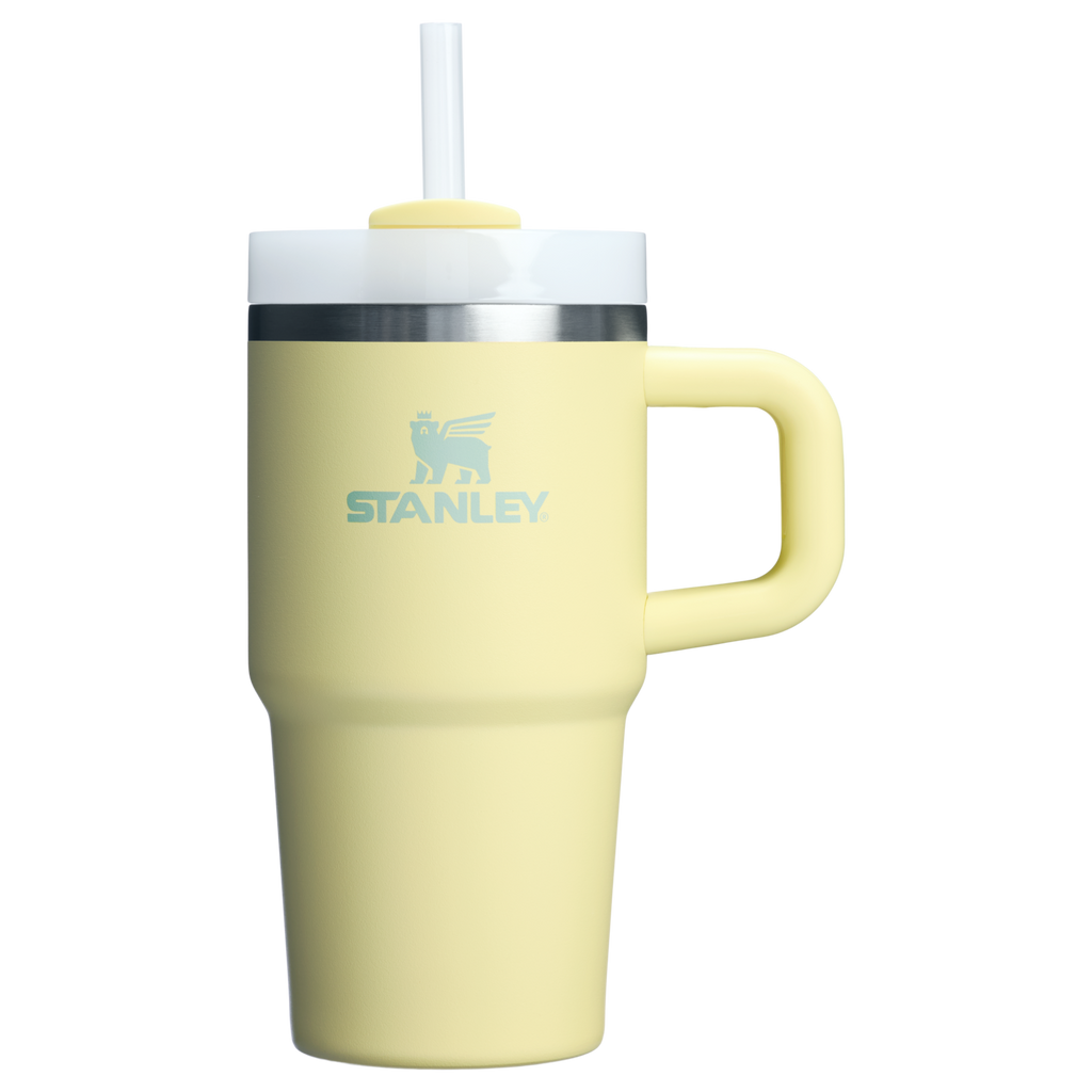 The Quencher H2.O FlowState™ Tumbler with Handle | 20 OZ - Stanley Create